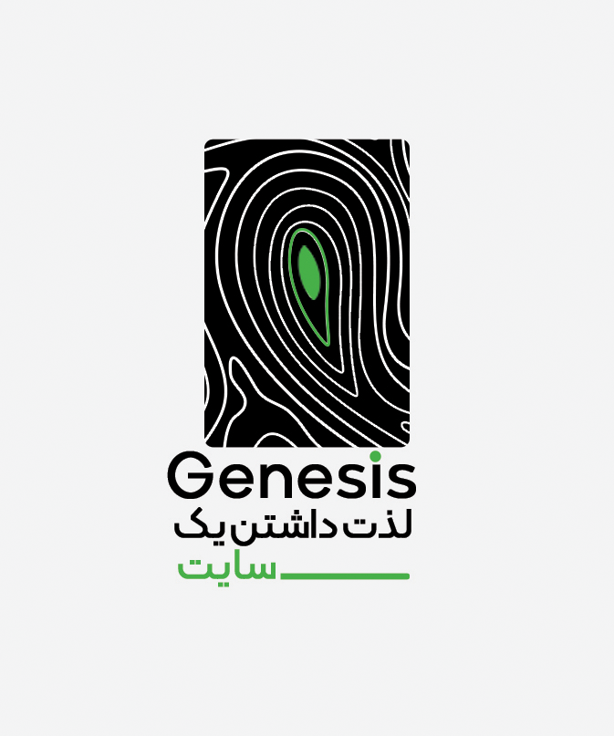 سئو سایت حرفه ای